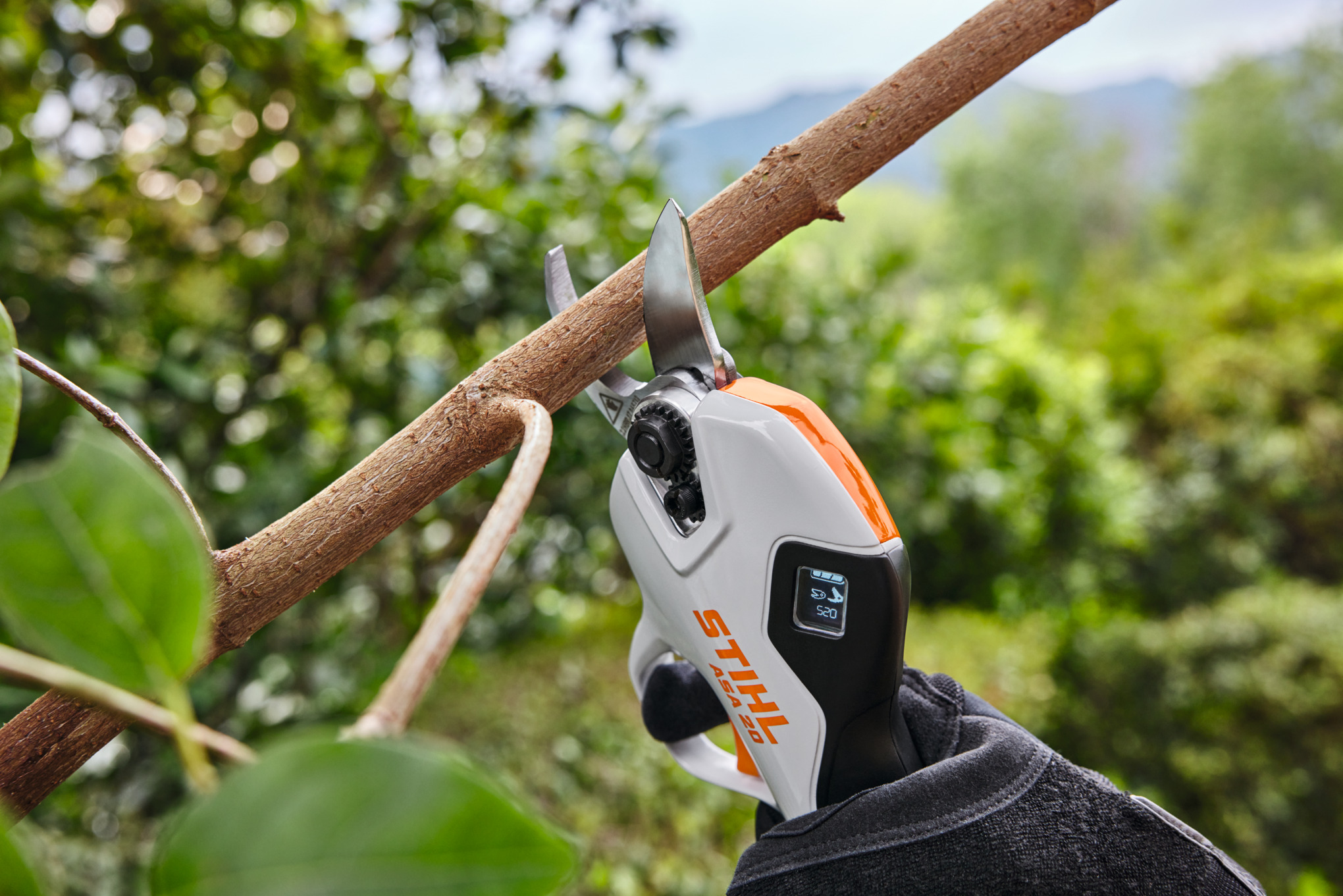 ASA 20 accusnoeischaar kopen | STIHL