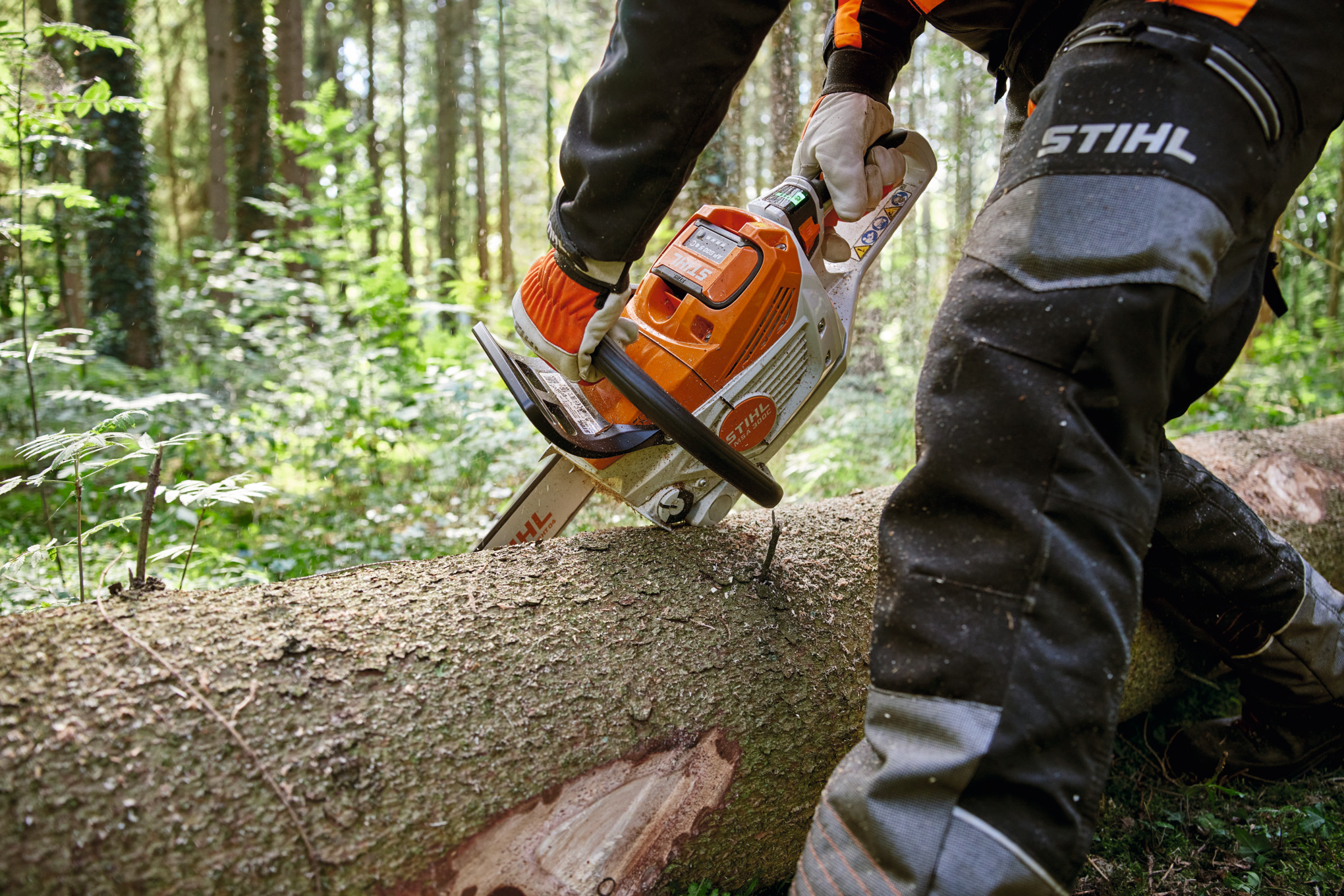 Pantalon pour le travail en forêt avec protection contre les coupures.